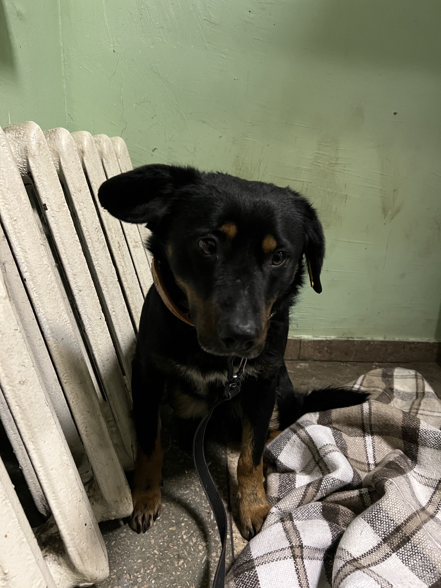 Хлопчик шукає дім