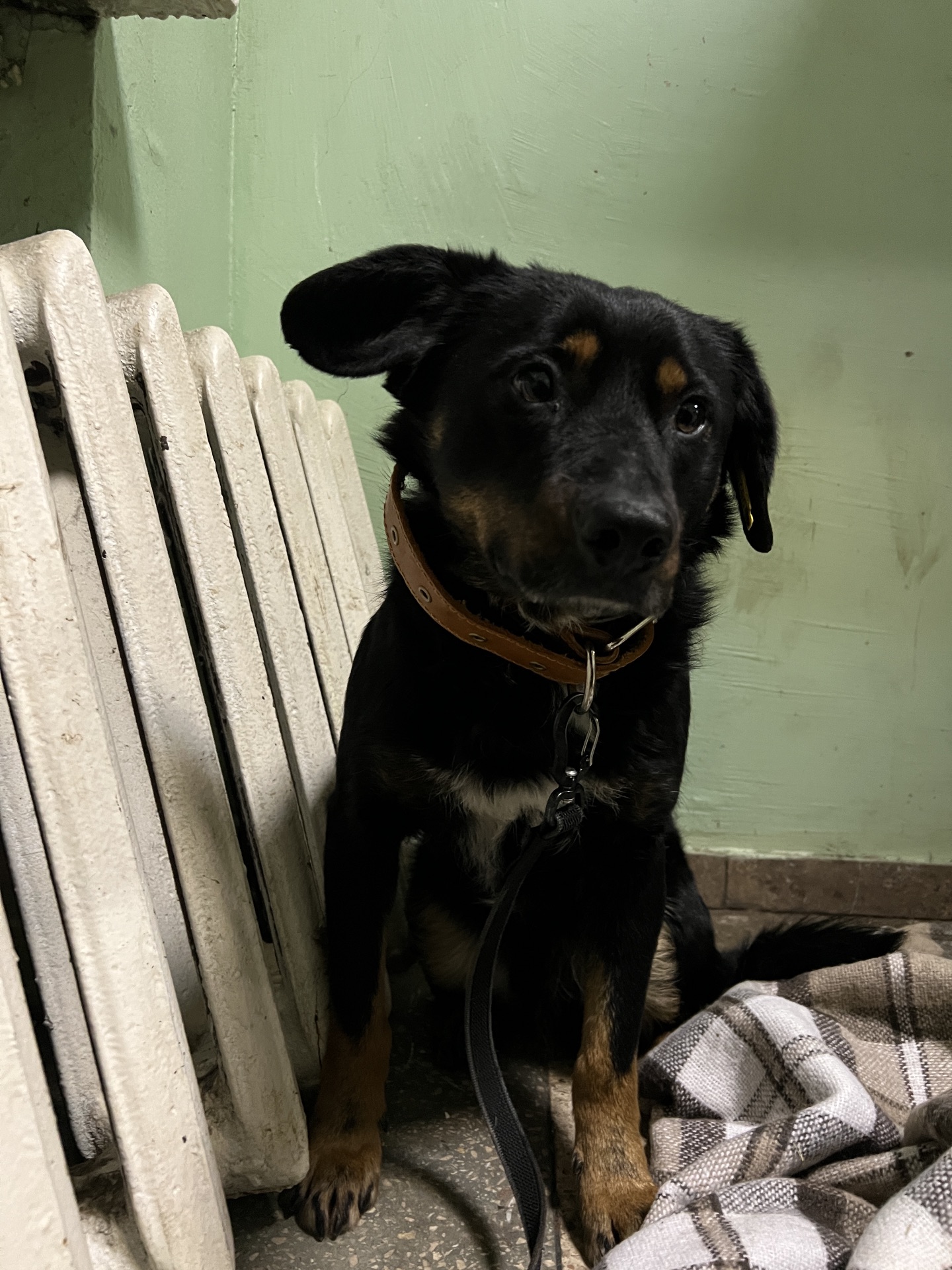 Хлопчик шукає дім