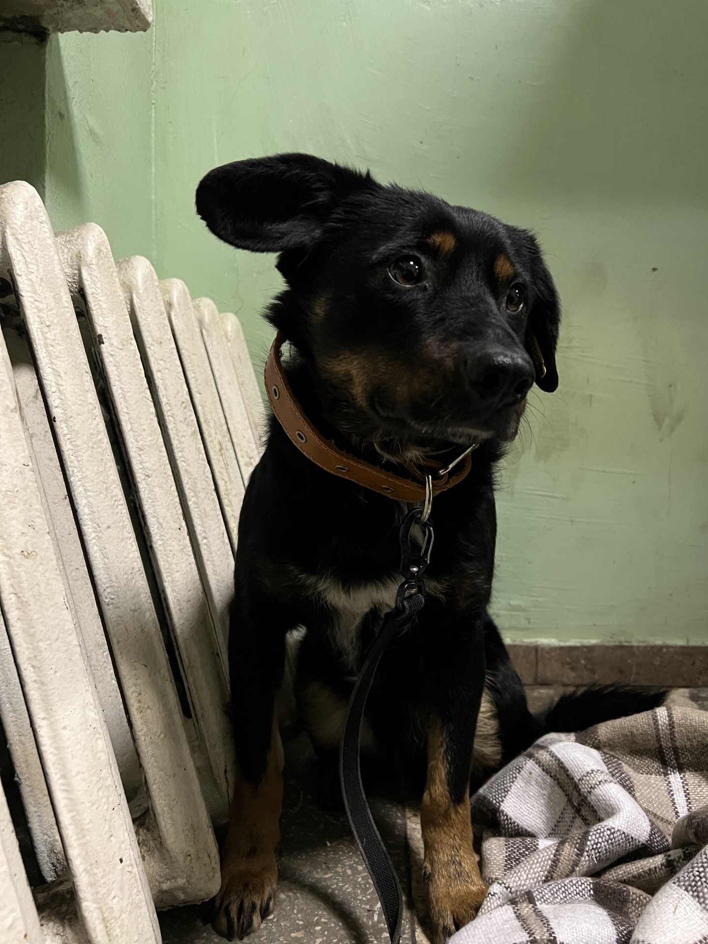 Хлопчик шукає дім