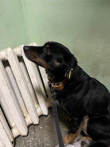 Хлопчик шукає дім