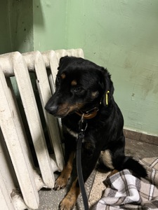 Хлопчик шукає дім