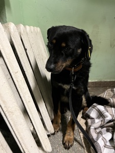 Хлопчик шукає дім