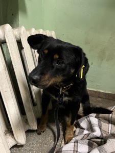 Хлопчик шукає дім