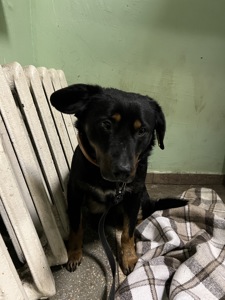 Хлопчик шукає дім