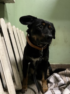 Хлопчик шукає дім