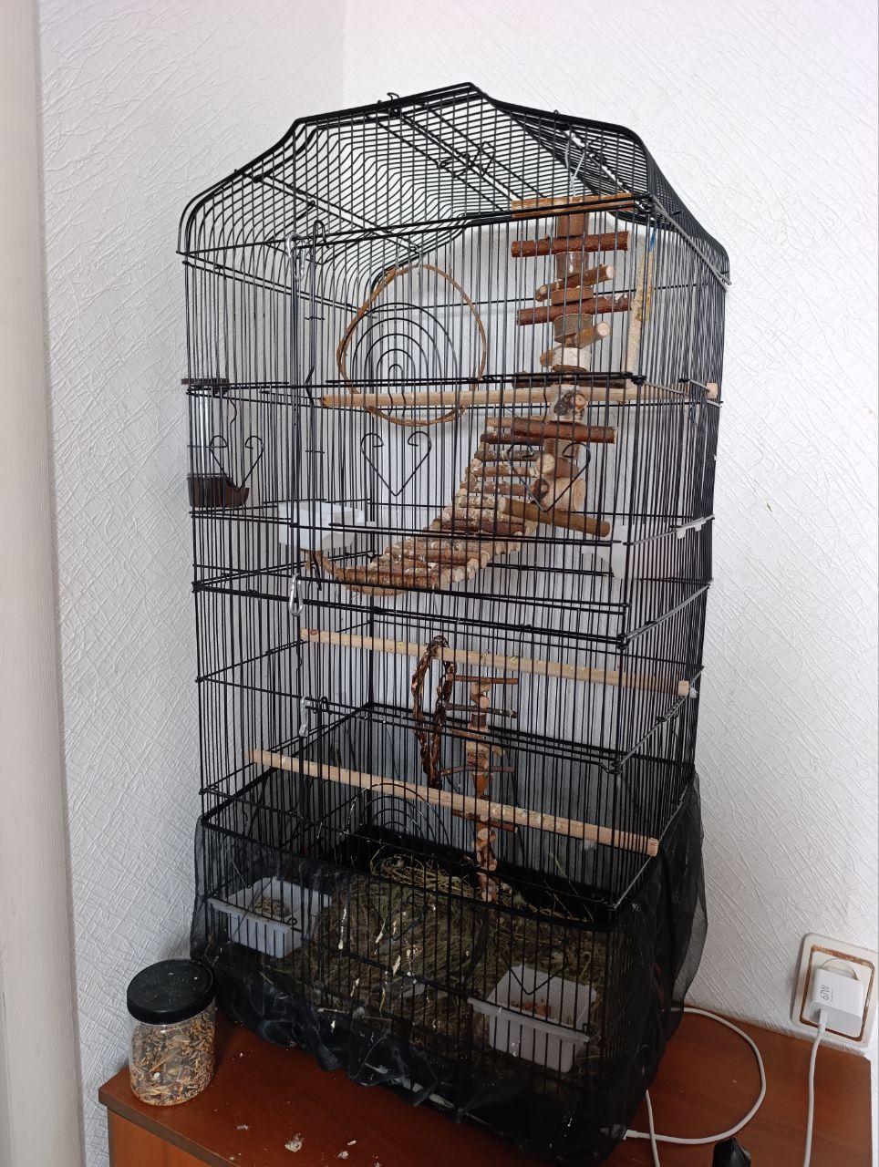 Продам птенца монаха редкого окраса с клеткой