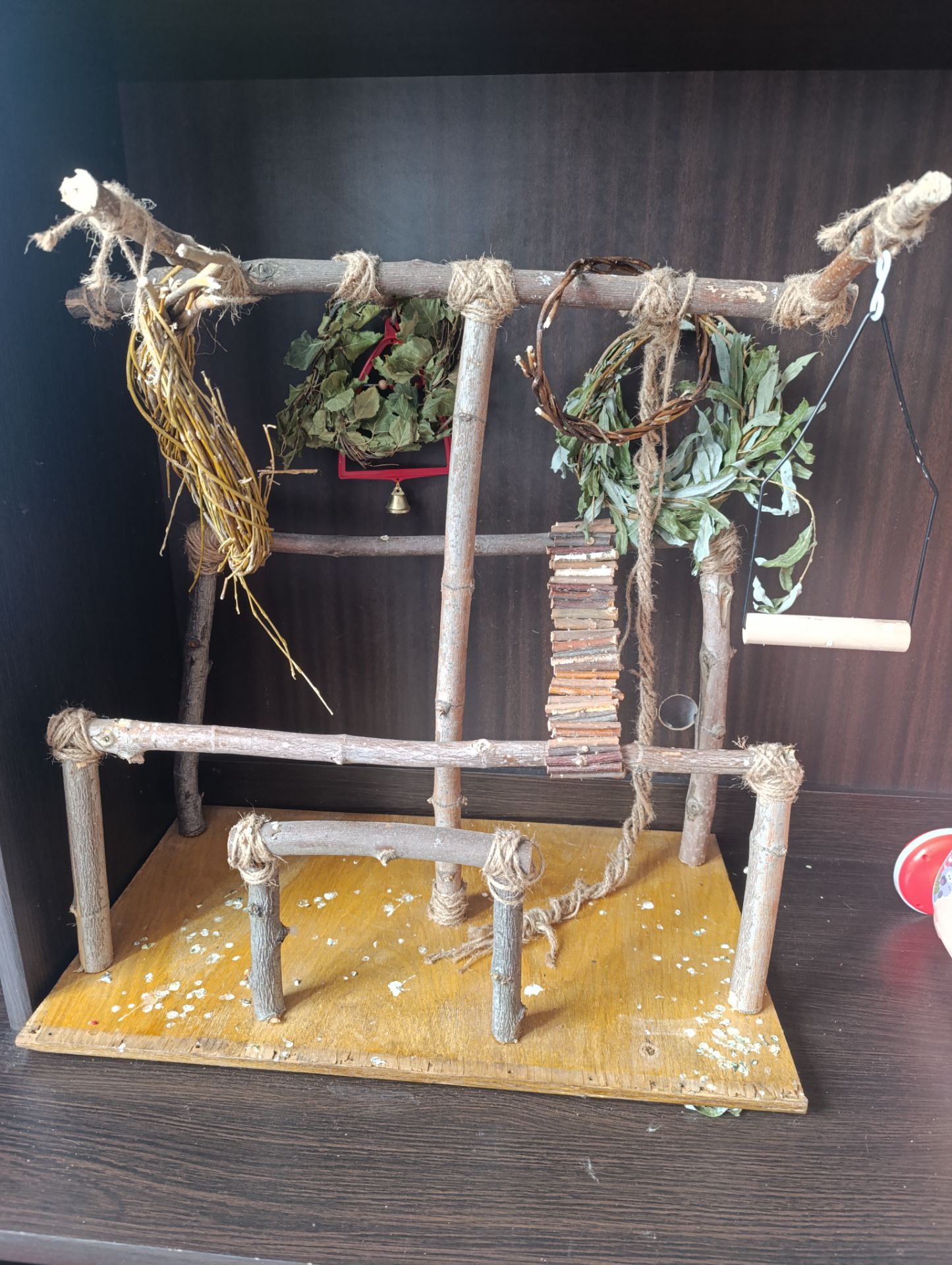 Продам птенца монаха редкого окраса с клеткой