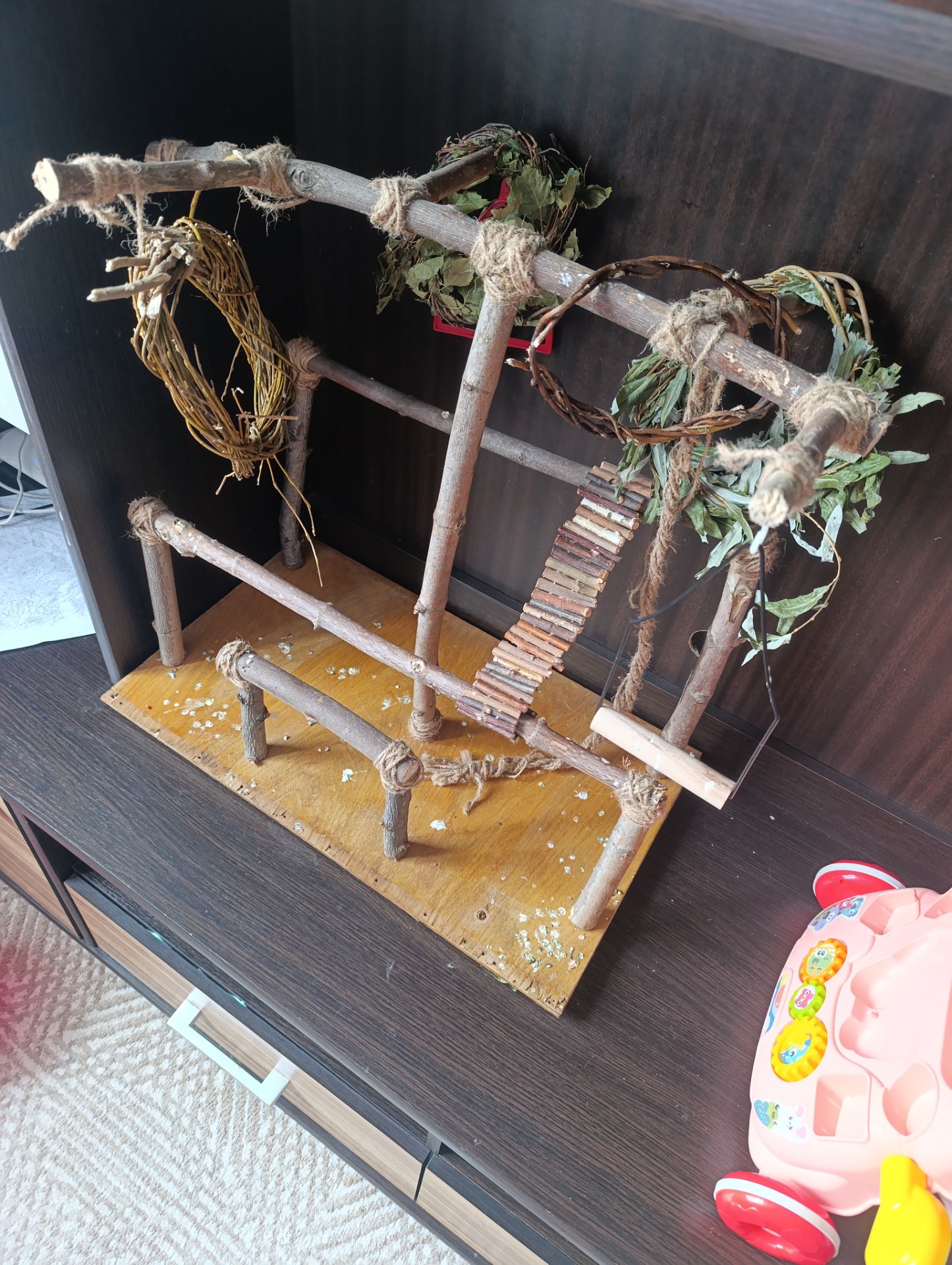 Продам птенца монаха редкого окраса с клеткой