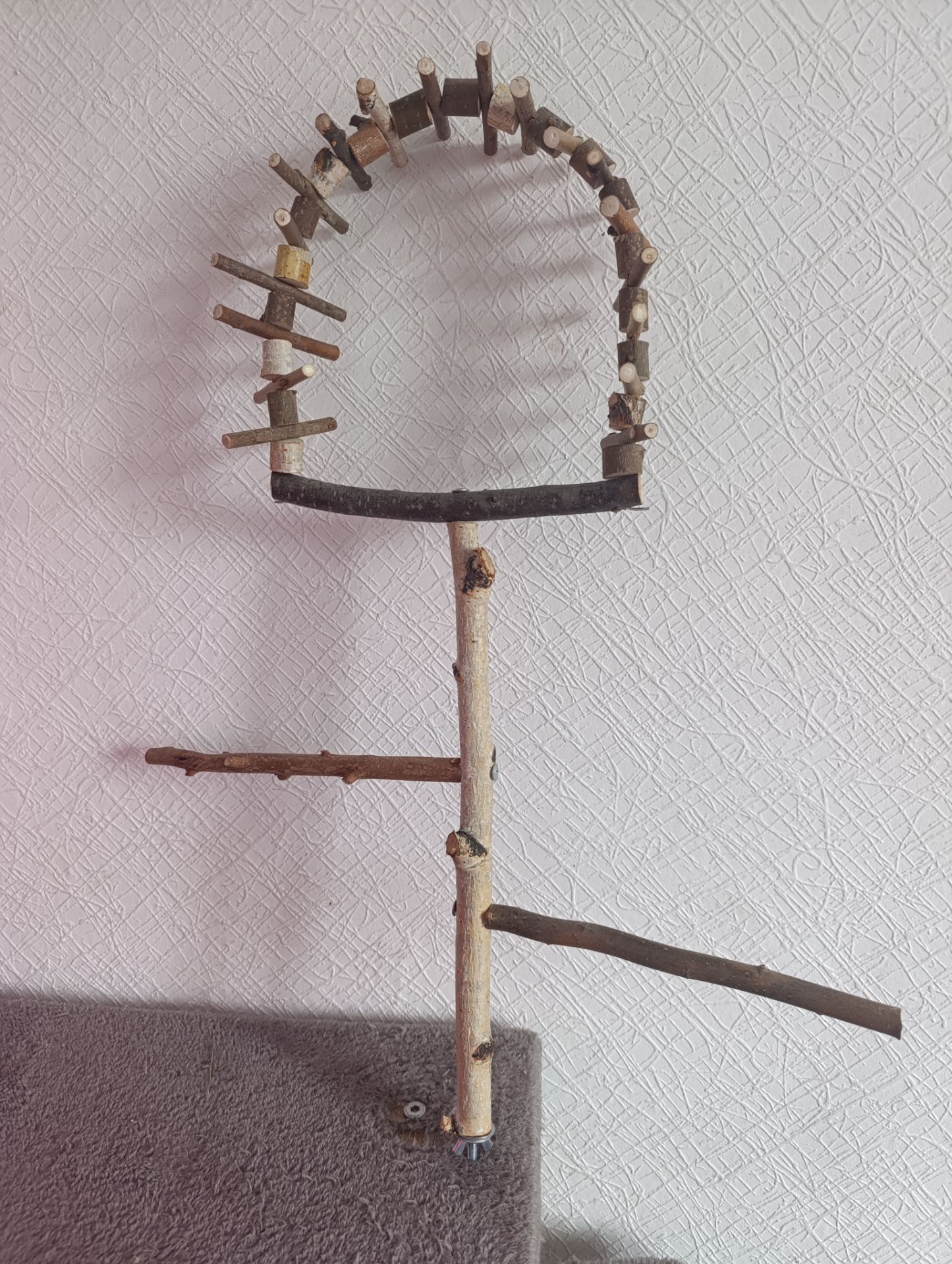 Продам птенца монаха редкого окраса с клеткой