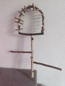 Продам птенца монаха редкого окраса с клеткой