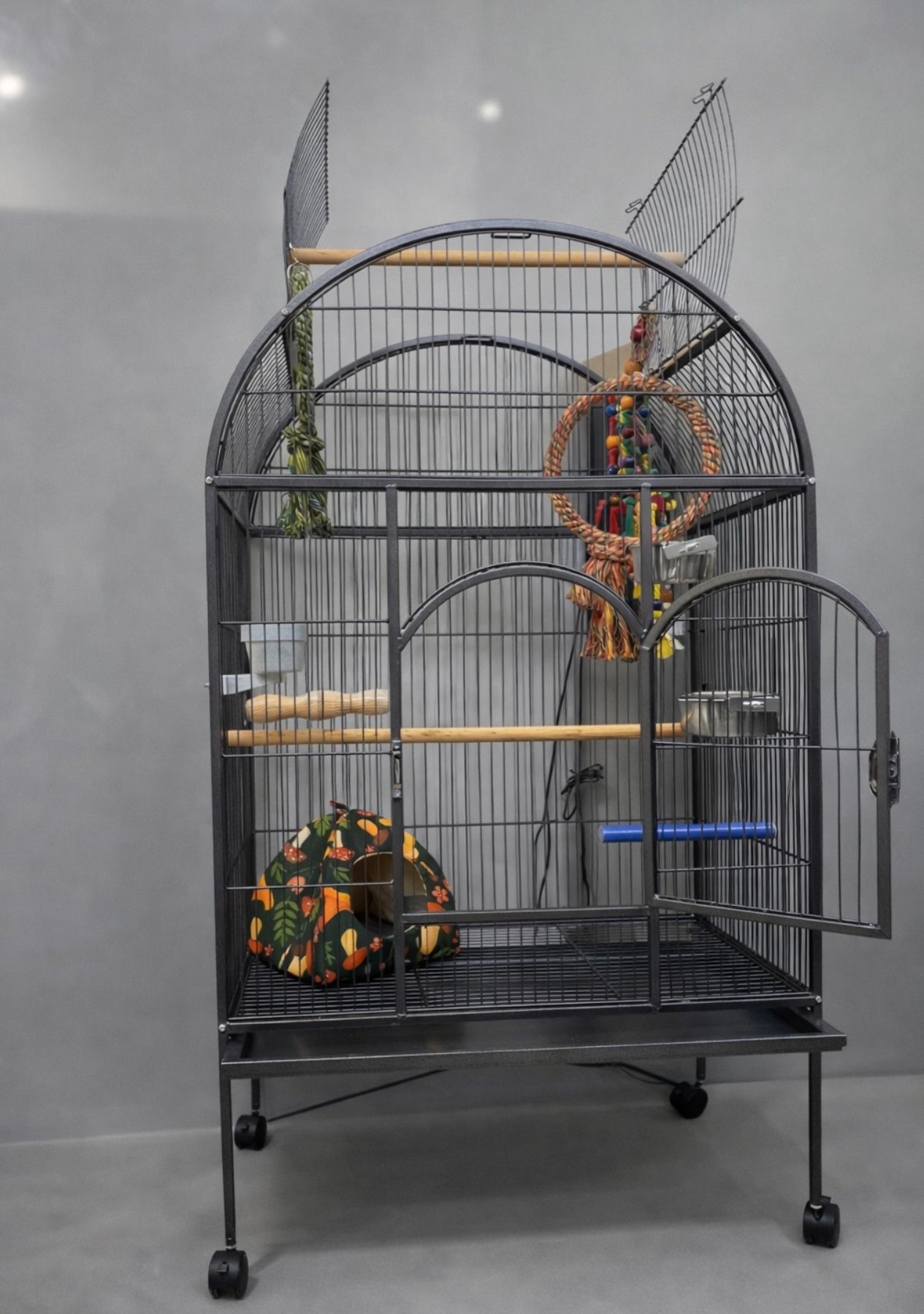 Какаду, какаду альба, какаду з кліткою