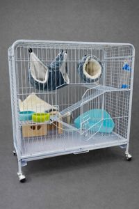 Сурикати, ручні сурикатики, сурикат та вольєр