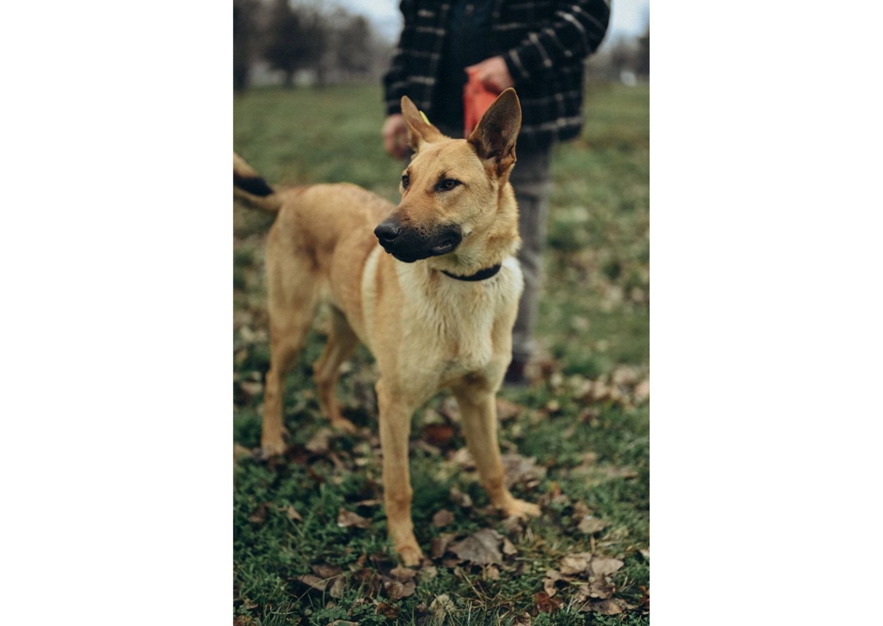 Вірю в новорічне диво для Луни😍