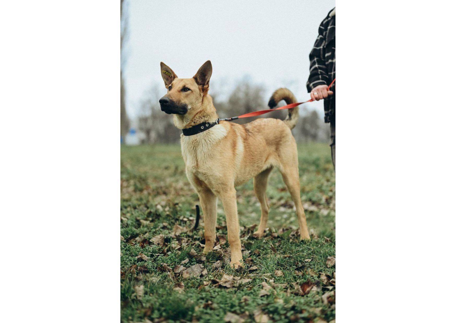 Вірю в новорічне диво для Луни😍