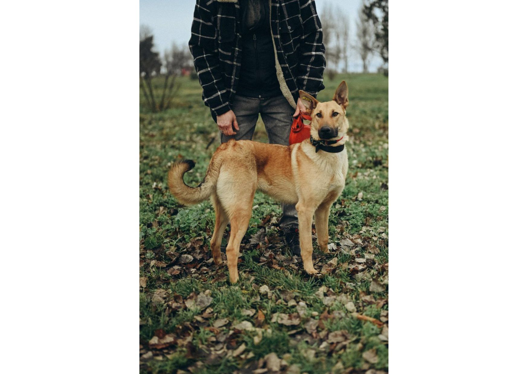 Вірю в новорічне диво для Луни😍