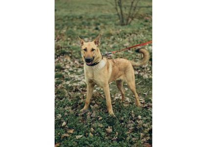 Вірю в новорічне диво для Луни😍