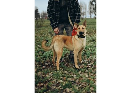 Вірю в новорічне диво для Луни😍