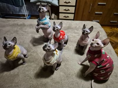 Кошенята канадського сфінкса