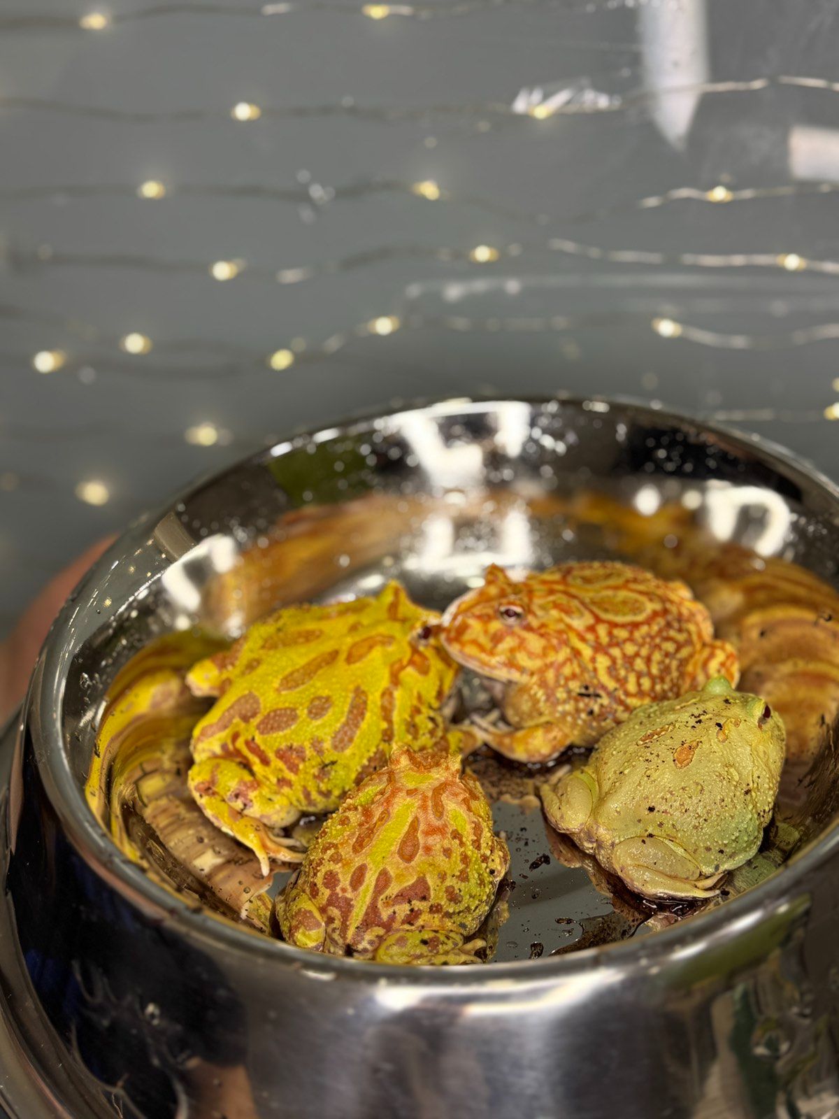 Прикрашені рогатки