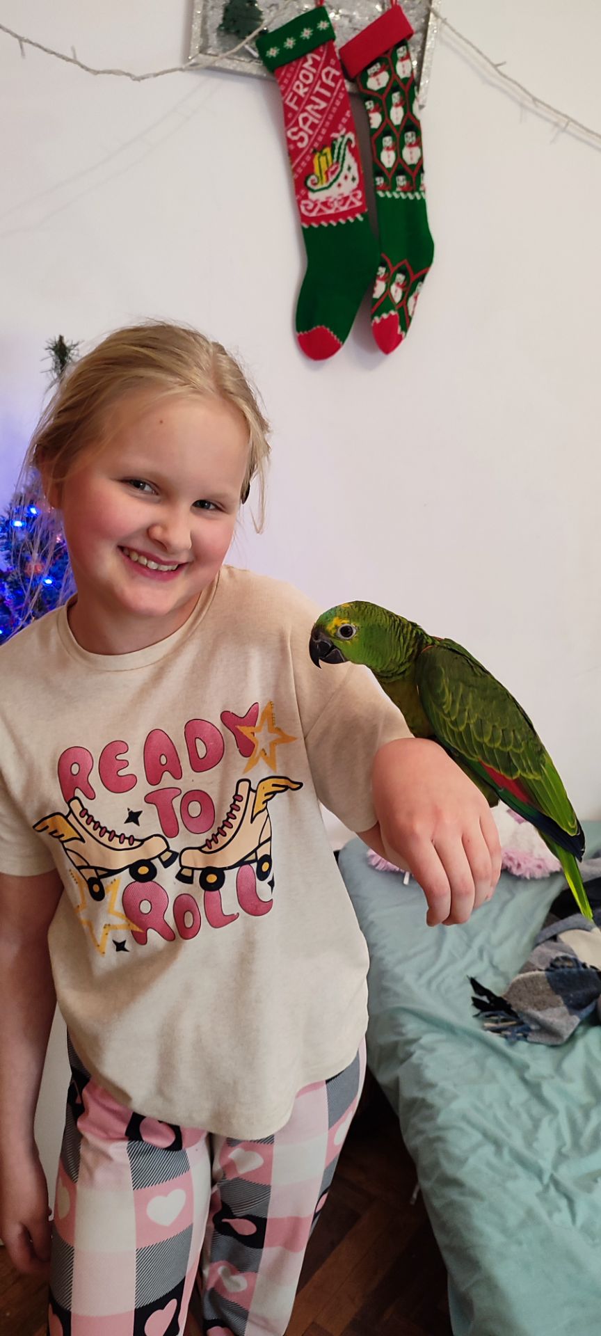 Супер-ручний папуга Синьолобий Амазон самець