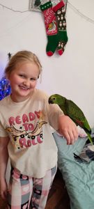 Супер-ручний папуга Синьолобий Амазон самець