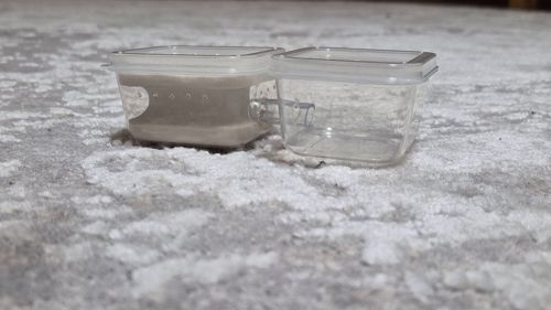 Модульный формикарий. С/без муравьев вида messor struktor