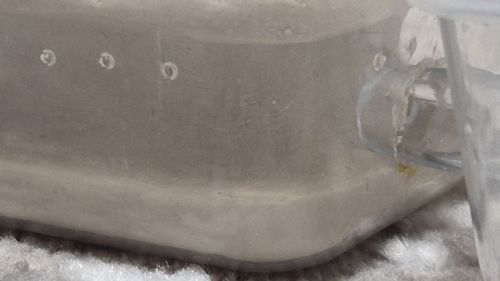 Модульный формикарий. С/без муравьев вида messor struktor