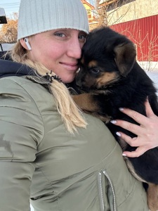 Цуценя німецької вівчарки, метис