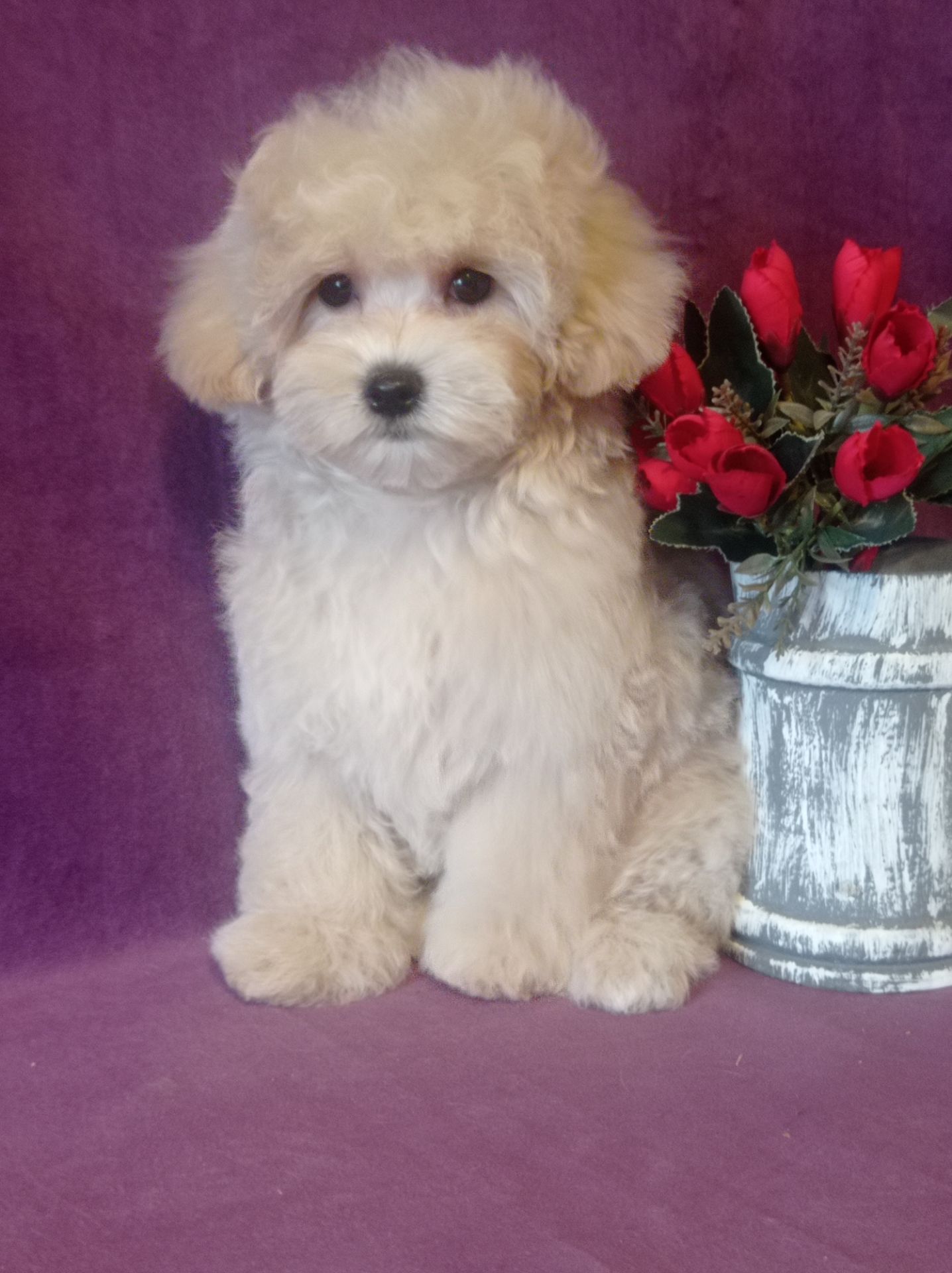 Маленький мальчик