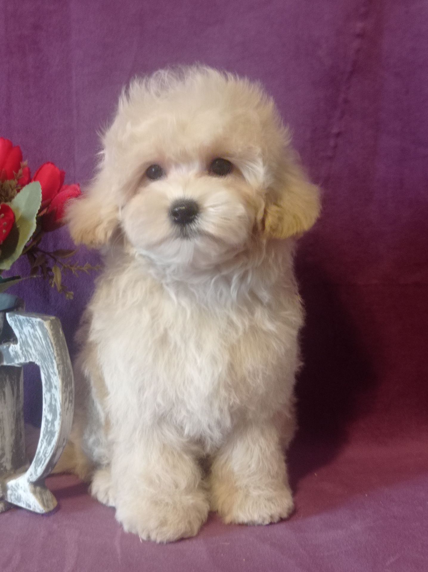 Маленький мальчик