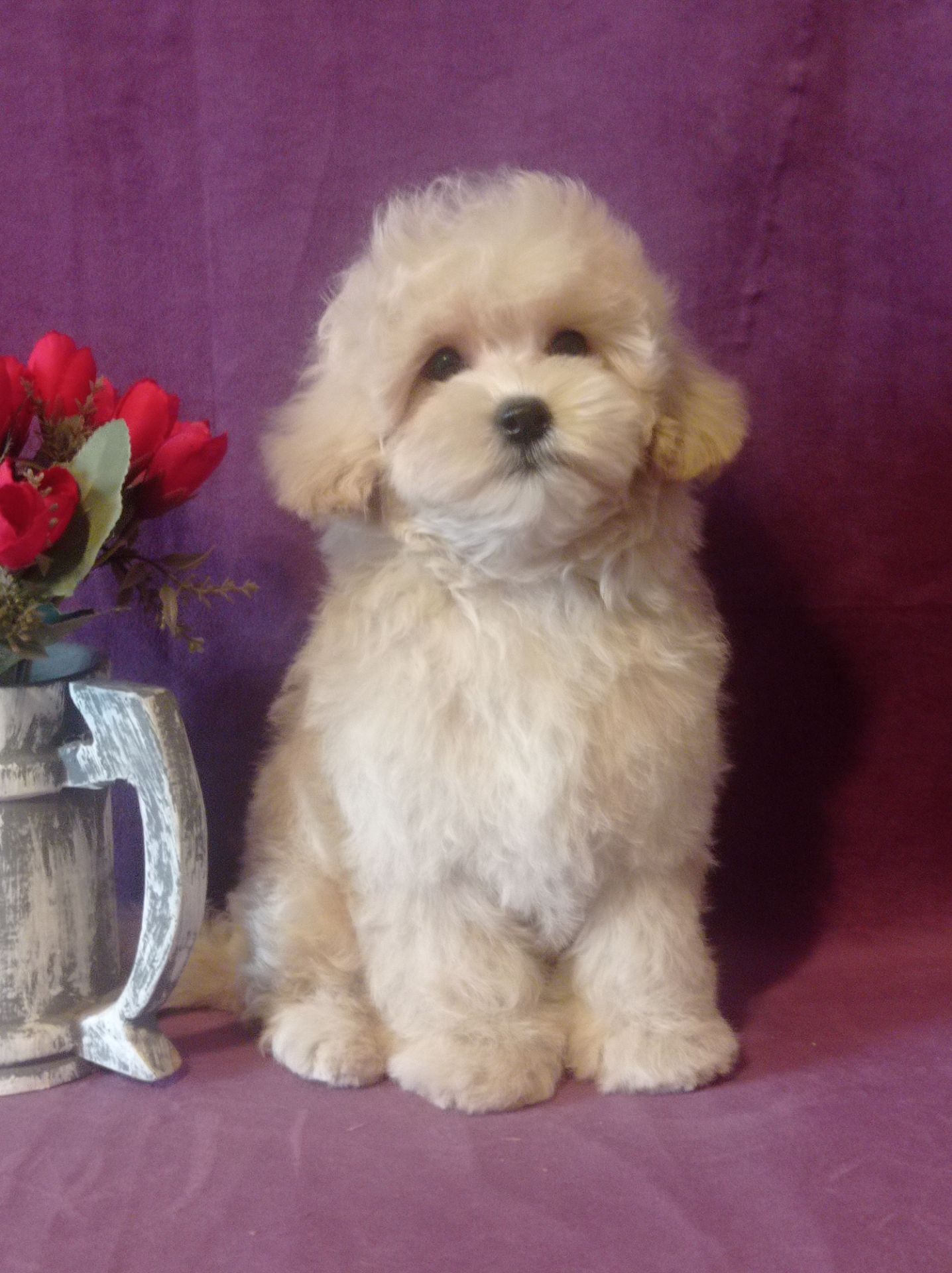 Маленький мальчик