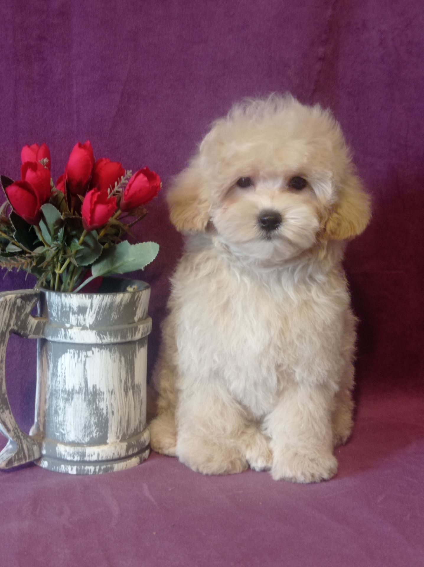 Маленький мальчик