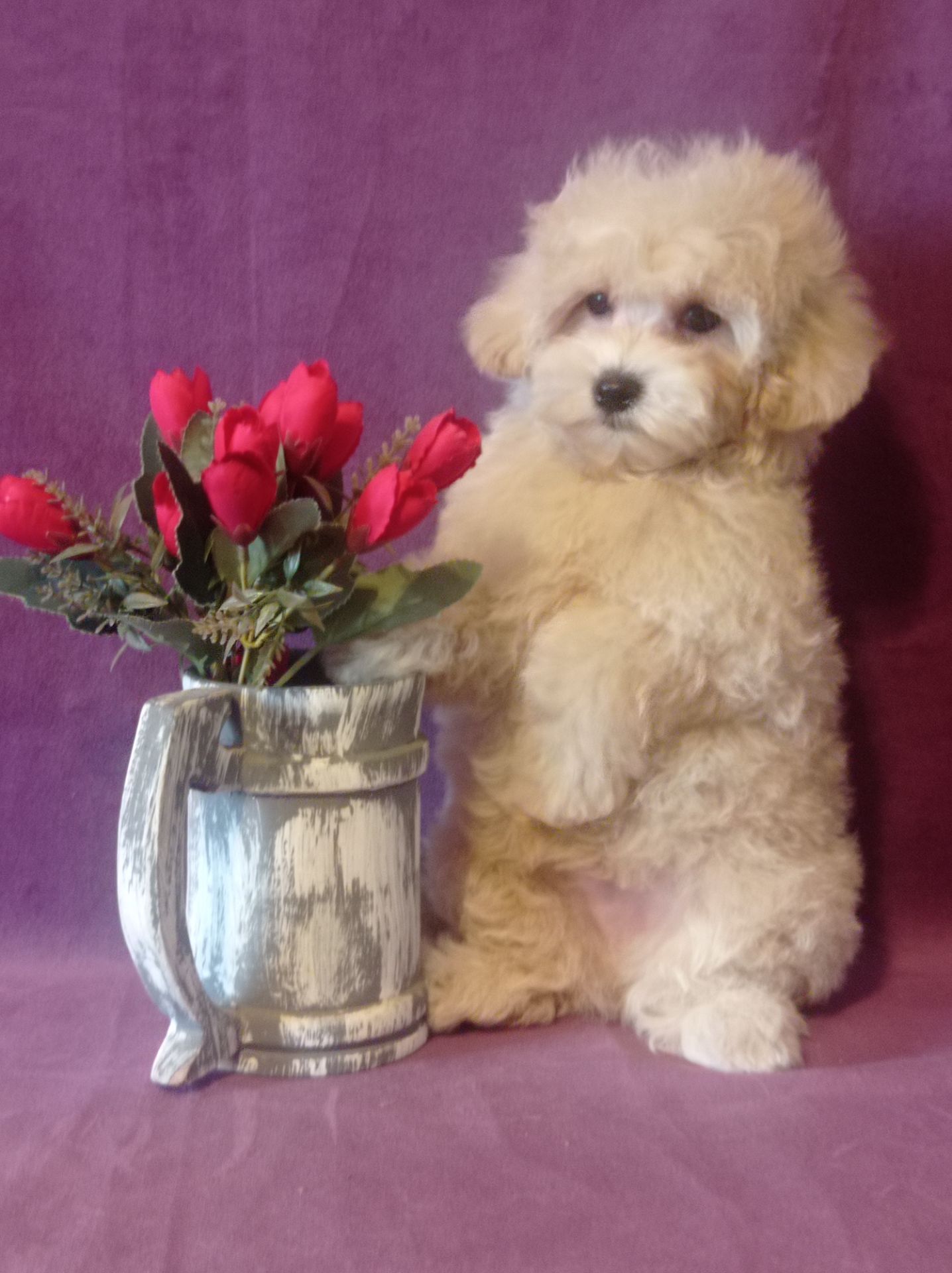 Маленький мальчик