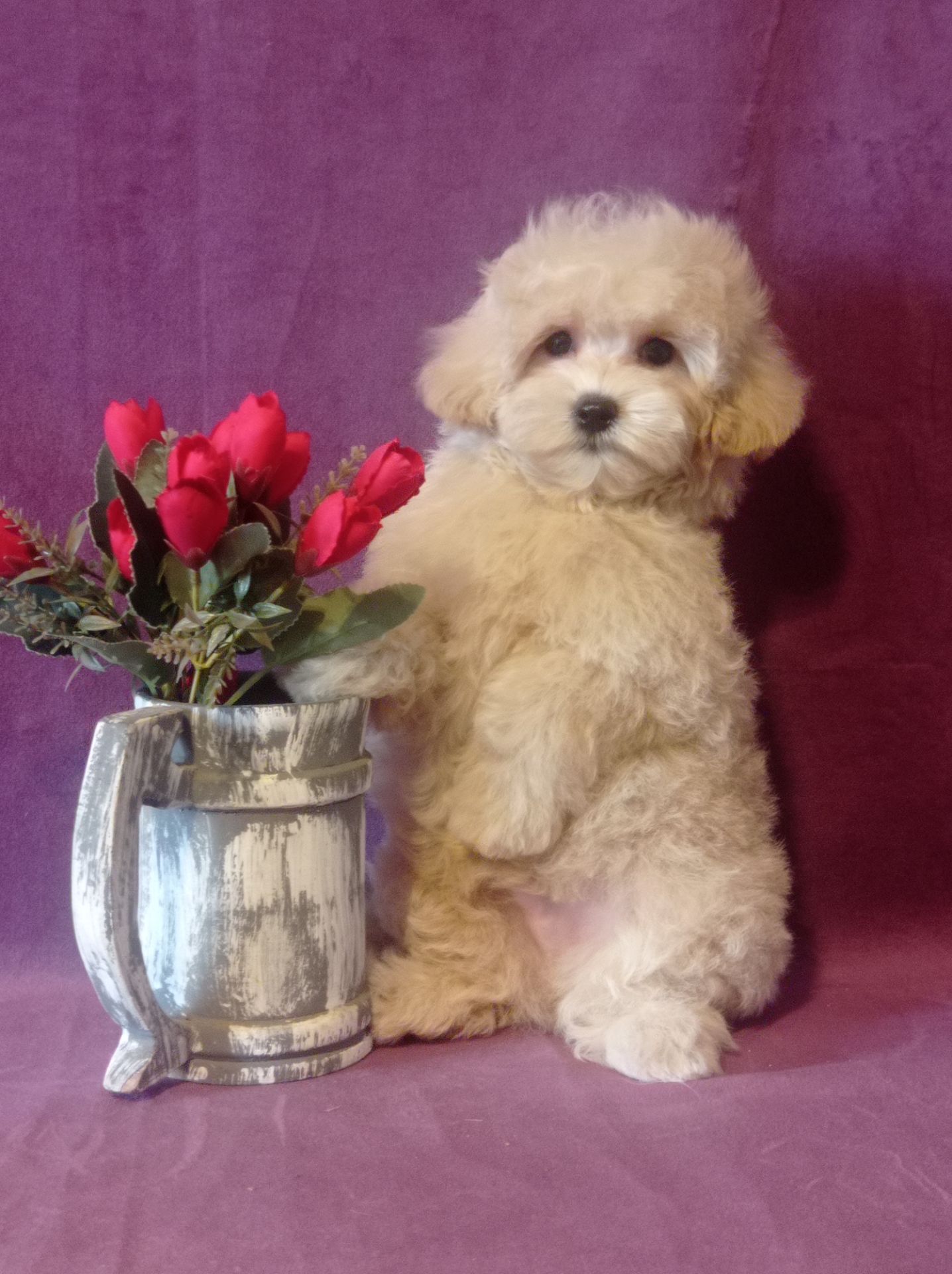 Маленький мальчик