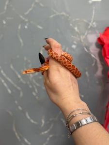 Маїсові полозята, яскраві полози різних морф