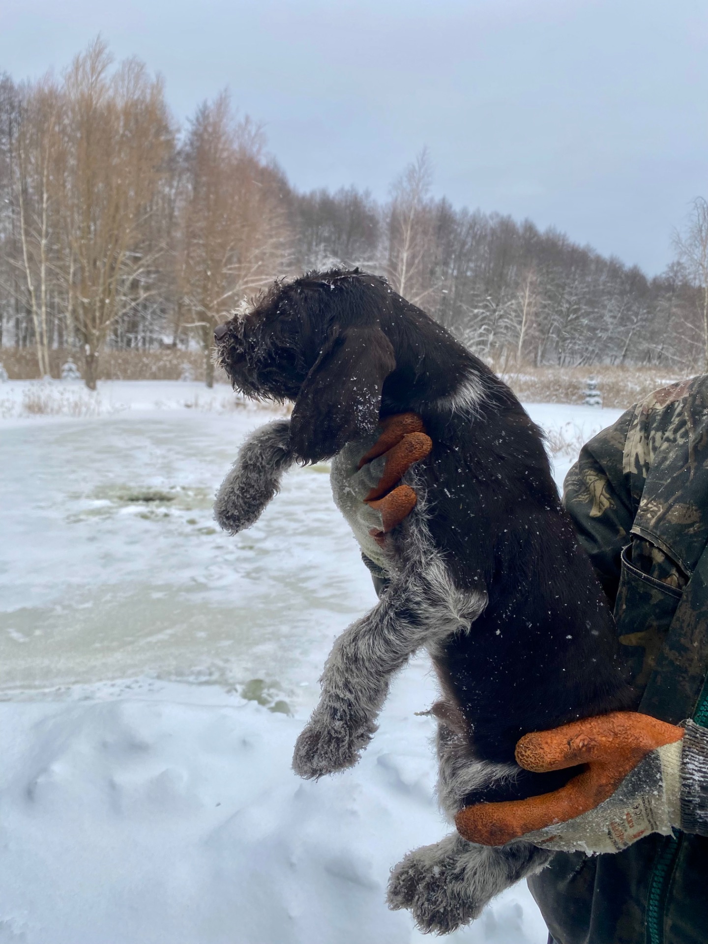 ДРААТХАР ЦУЦЕНЯТА