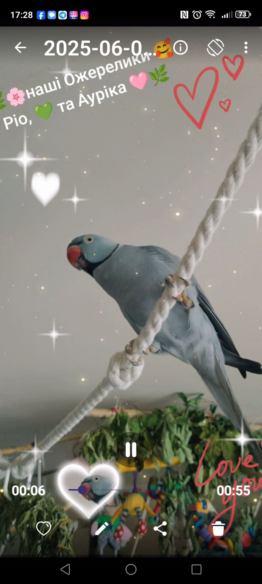 ОБМІН ПАРА ♥️. Ожерелові 💚 папуги