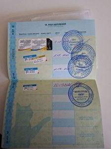 Мініатюрний хлопчик такси з незвичайним окрасом