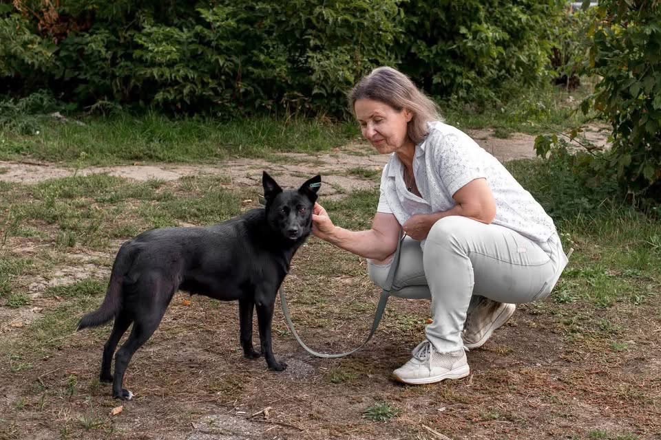 Зі Словʼянська Маргоша вже виїхала. Тепер залишилося знайти тих, з ким їй захочеться їхати далі