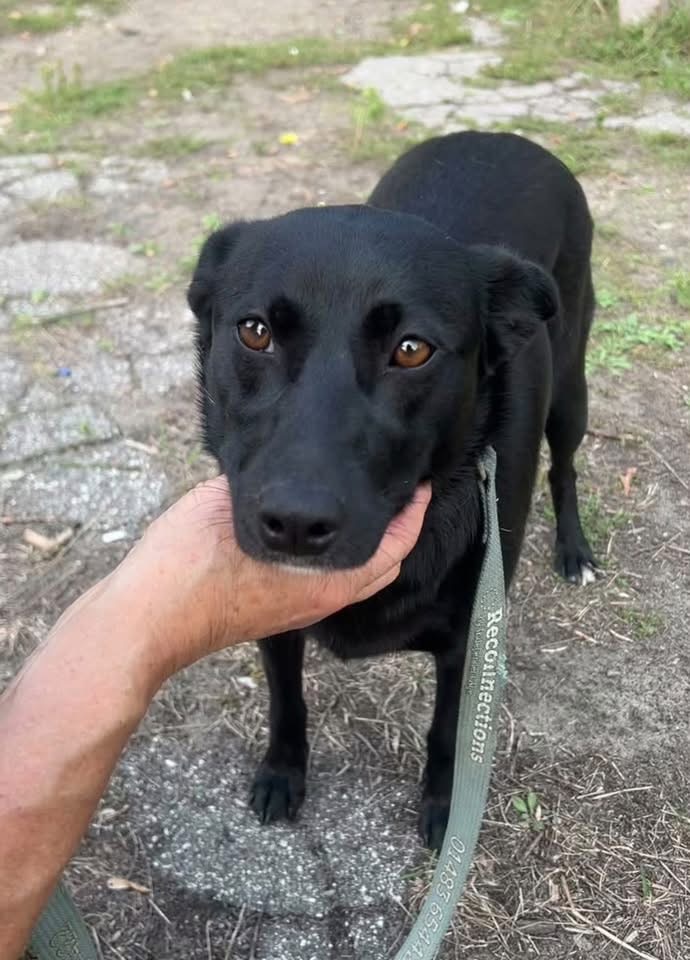 Зі Словʼянська Маргоша вже виїхала. Тепер залишилося знайти тих, з ким їй захочеться їхати далі