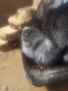 Девочка родилась 5.10.26