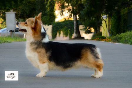 Чудовий хлопчик чекає на родину 😍