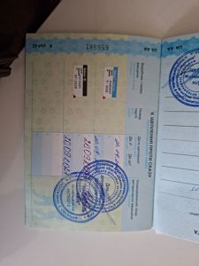 Мініатюрний хлопчик такси з усіма документами та вакцинами