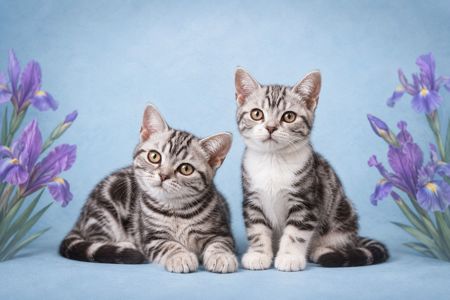 Artemisiacat