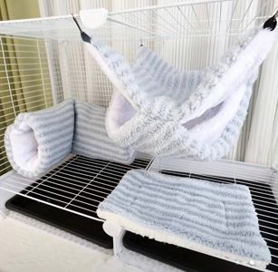 Продам ручного малюка тхорика із усім необхідним