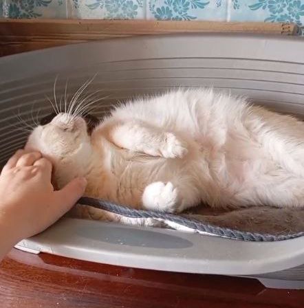 Кремчик