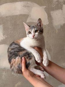 Нєнси 4,5 місяці