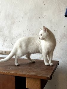 π± Π‘Π½ΡΠΆΠΎΠΊ βοΈβοΈβοΈ