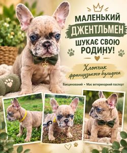 Голубоокий красень