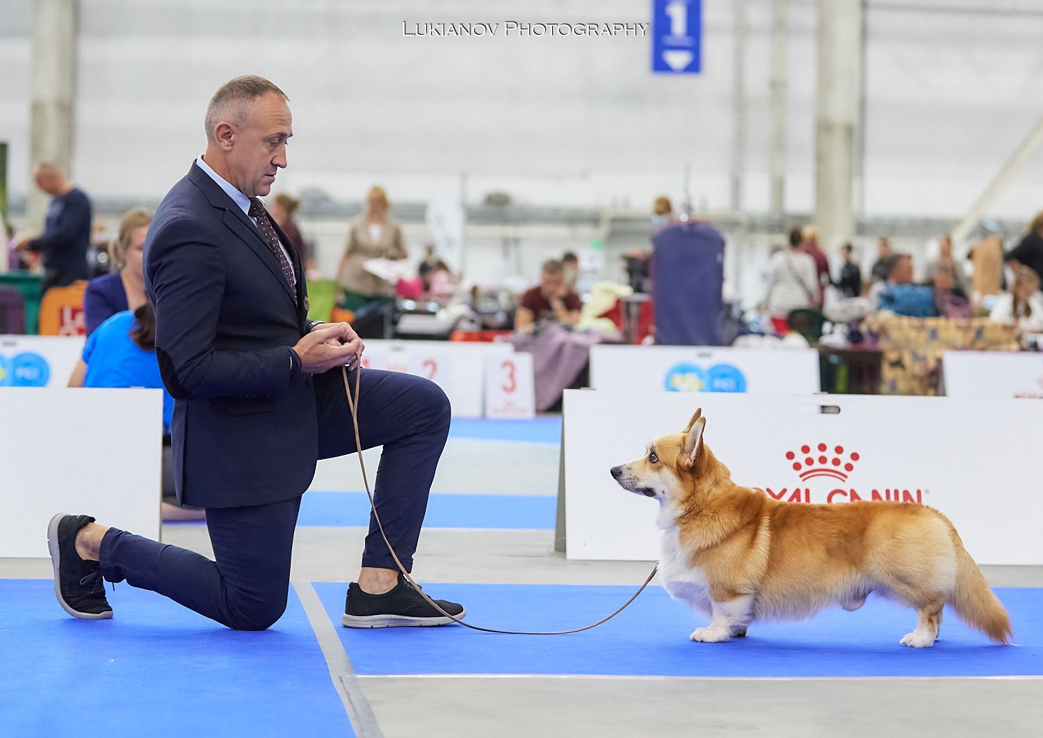 Basmanoff Kennel